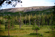 Naturpark beim Njupeskär