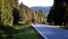 N 25 Elverum - Trysil