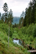 Kanal zum Flößen von Holz zum Klarälven bei Støa