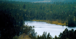 Aussicht vom Bärenpark in Grönklitt bei Orsa