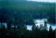 Aussicht vom Bärenpark in Grönklitt bei Orsa