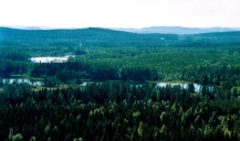 Aussicht vom Bärenpark in Grönklitt bei Orsa