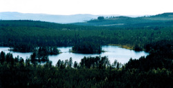 Aussicht vom Bärenpark in Grönklitt bei Orsa