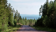 Rückweg vom Bärenpark