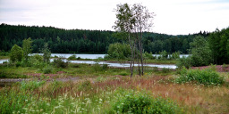 Wanderung in der Nähe der N 70 zwischen Mora und Älvdalen