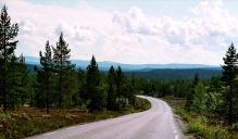 N 217 von Drevsjø nach Åkrestrømmen