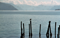 Sognefjord