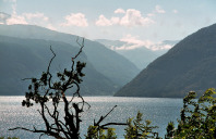 Sognefjord