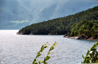 Sognefjord westlich von Balestrand