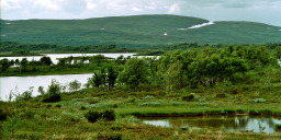 Trondheim - Røros