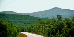 dritte Etappe nach Røros