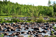 dritte Etappe nach Røros