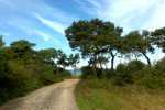Naturreservat Hangvar-Hall