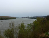 Donau