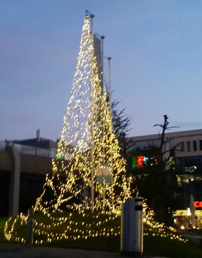 Weihnachtsbaum in Olten